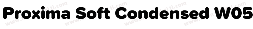 Proxima Soft Condensed W05 Lt字体转换